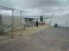 hantsrosebowl11.jpg (115793 bytes)