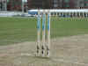 hove11.jpg (131955 bytes)